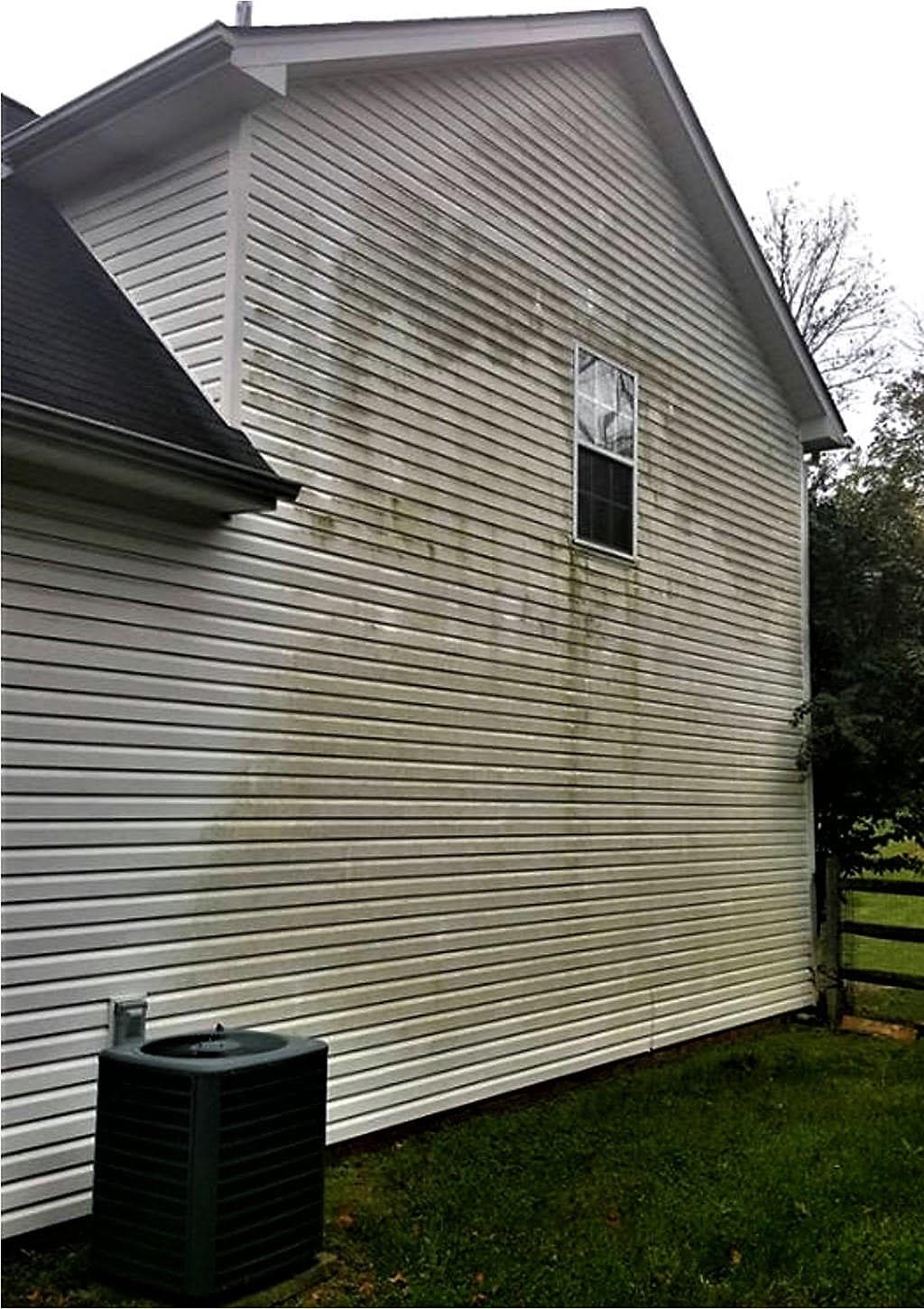 Vinyl siding heavily streaked with green algae before cleaning