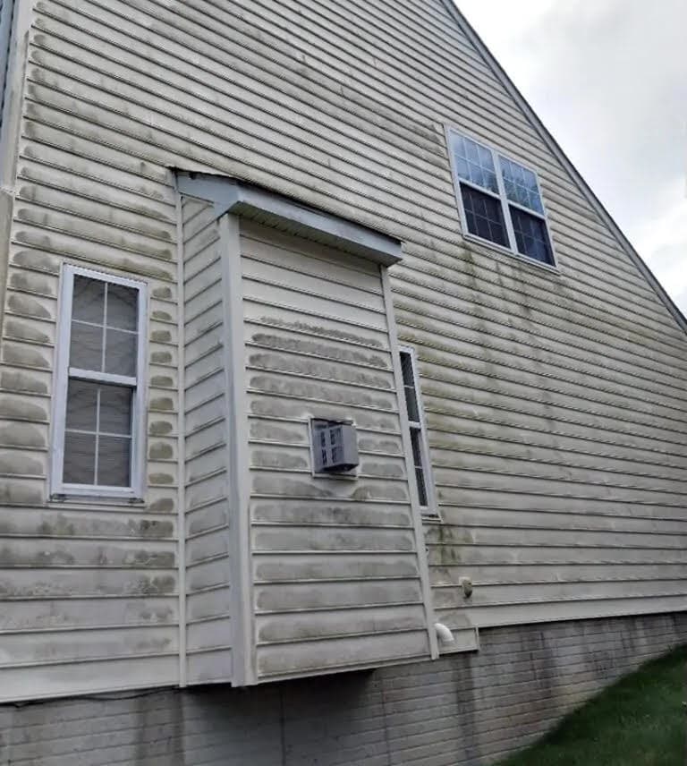 Cream vinyl siding with heavy green staining around the windows before washing